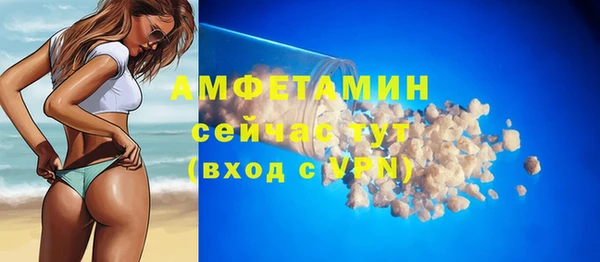 шишки Сатка