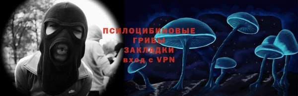 шишки Верхний Тагил
