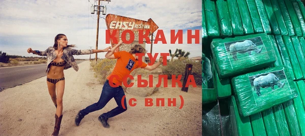 шишки Верхний Тагил