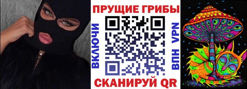 Псилоцибиновые грибы Magic Shrooms  Выборг 